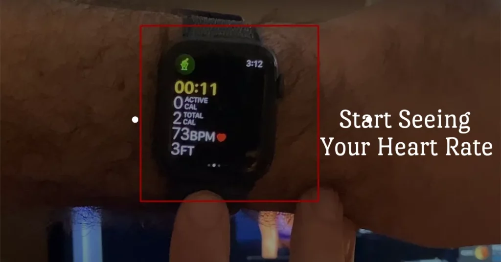 start seeing your heart rate 