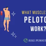 what muscles does the peloton bike work